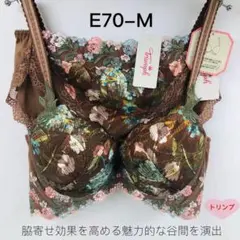 トリンプ　レッドレーベル 0092 ブラジャー&ショーツE70-M