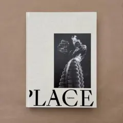 PLACES LOOKING THROUGH FLEMISH LACE