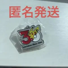 ポケモン メタルチャームマスコット ピカチュウ