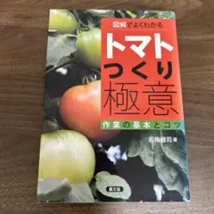 大橋歩エッセイ集　トマトジュース他5冊セット トマトジュース 大橋歩エッセイ集』 大橋歩 | 古書堂 うきよい