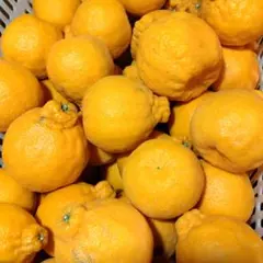 みーちゃん様専用