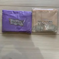 ファンタジースプリングスホテルと東京ディズニーランドホテルのエコバッグセット