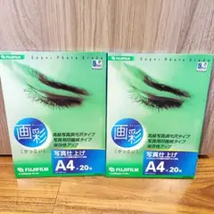 フジフィルム 画彩写真仕上げ A4サイズ/20枚入WPA420
