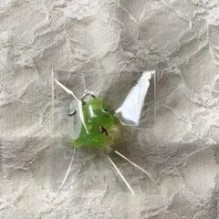 りぼん めじるしアクセサリー スドーザウルス