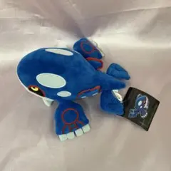 ⭐極美品⭐ ポケモンセンター ポケドール カイオーガ ぬいぐるみ 2026年最新】ポケモンセンター カイオーガ ぬいぐるみの人気アイテム