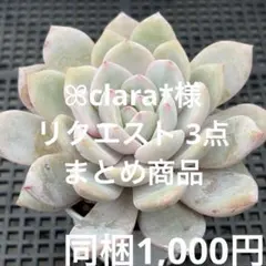 ꕤclara*様 リクエスト 3点 まとめ商品