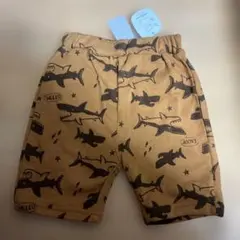 Item thumbnail for item 3582e64a-2ab7-4f4c-ba9b-c57cd11211af