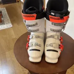 Item thumbnail for item 5d43a454-0d9e-43b9-81a7-f4c1b336d5a9