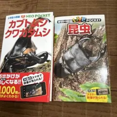 昆虫＆カブトムシ・クワガタムシ