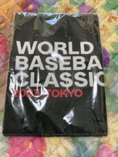 Item thumbnail for item 54ce653a-f3c5-4eaf-a941-4b0088e98bb5