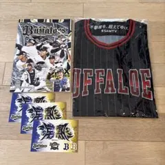 BUFFALOES ユニフォーム セット