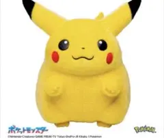 ポケットモンスター ポケモン30周年記念 おかえり！ピカチュウ1/1