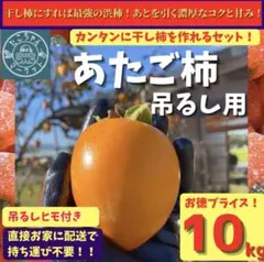 【数量限定★人気の大玉】愛媛県産　高級干柿にも使われる　渋柿　愛宕柿10Kg