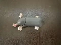 Item thumbnail for item 680251d3-57eb-43b6-8b54-c2683a27f278