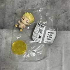 SEVENTEEN seventeen PetiTEEN すわらせ隊 ホシ