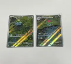ポケモンカード　フシギダネ　フシギソウ　AR セット売り