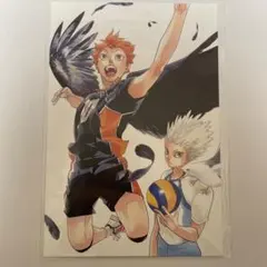 ハイキュー!!展 ポストカード 日向翔陽 星海光来