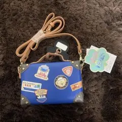 ディズニーシー限定☆ダッフィー スプリングヴォヤッジ カメラケース