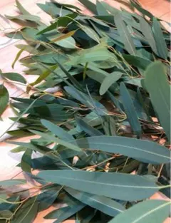 sara.kazu.0829様 リクエスト 2点 まとめ商品