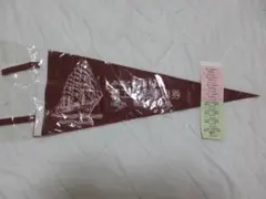 Item thumbnail for item 0818d209-27ea-4b5c-8fe3-8f47190caffd