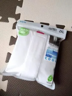 Item thumbnail for item 7d6d5d70-305a-4d39-bbe9-cc40eeb3deec