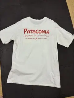 パタゴニア Patagonia オーガニックコットン Tシャツ ポケTのサムネイル