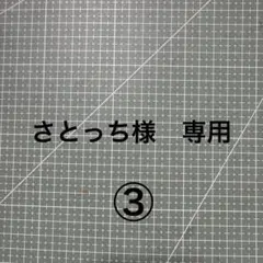 さとっち様　専用③