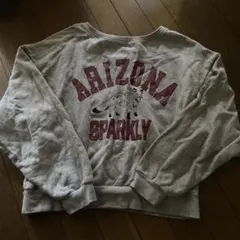 ARIZONA SPARKLY プリント スウェット グレー