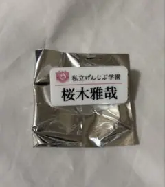 原因は自分にある。 桜木雅哉 名札 お名前バッジのサムネイル