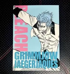 BLEACH ブリーチ グリムジョー アートカードコレクション ジャンプショップ