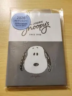 【わけあり】スヌーピー スケジュール帳 A6