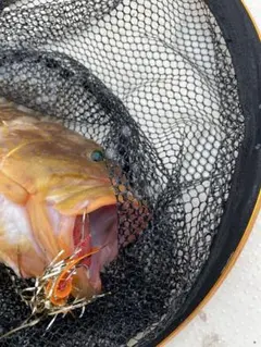 Item thumbnail for item fa69f24b-5f9b-4bdf-8bc3-e71bd5509180