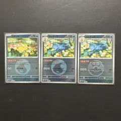 ポケモンカードメガドリームｅｘ コダック進化ラインミラー３枚