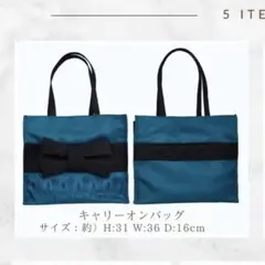 エルサ キャリーオンバッグ しまむら ちはる ハッピーバッグ