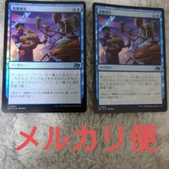 MTG 食糧補充 Foil 4枚 ミスティカルアーカイブ - メルカリ