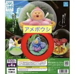 こびとづかん　カプリウムコレクション　アメボウシ