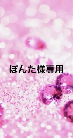ぽんた様専用