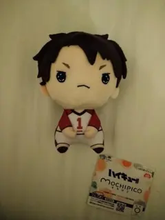 ハイキュー!! もちぴこ ぬいぐるみ　牛島若利④