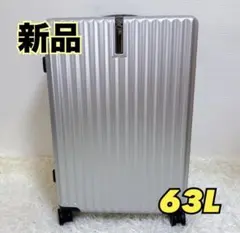 期間限定価格】キャリーケース シルバー TSAロック キャリーケース 