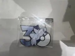 中国限定 ポケモン30周年 マグネット 宝可梦MAGNET エアームド - メルカリ