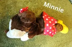 ミニー　ぬいぐるみ　巨大　ビッグサイズ