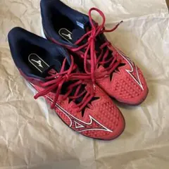 Mizuno ウェーブエクシードツアー6 AC 27.5cm テニスシューズ