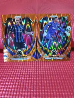 Item thumbnail for item 43c3a86e-115d-42b0-93c3-32796d53a038