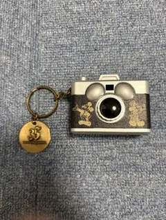 ディズニー 35周年 カメラキーホルダー