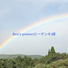 Bee's power(ビーゲンキ)様 リクエスト 2点 まとめ商品