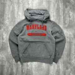 ナイキ 刺繍ロゴ カレッジロゴ スウェットパーカー グレー 着用L相当 6147