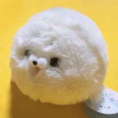 もちもふ！アザラシ ぬいぐるみ 【まろ】