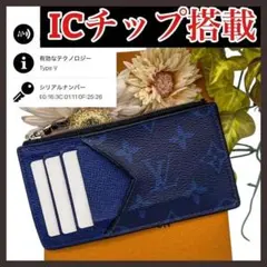 246 ルイヴィトン タイガラマフラグメントケース カードケース 小銭入れ