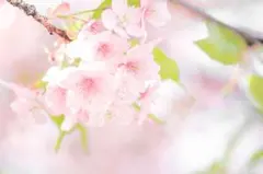 Item thumbnail for item 30a66758-38e2-46e7-a694-430a53c34a79