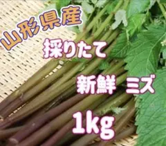 こきゆ 秋田県産 みずのこぶ みずの実 クール便 1kg こきゆ様専用 秋田県産 みずのこぶ みずの実 クール便 1kg - メルカリ